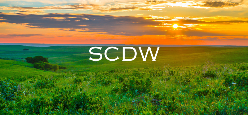 SCDW